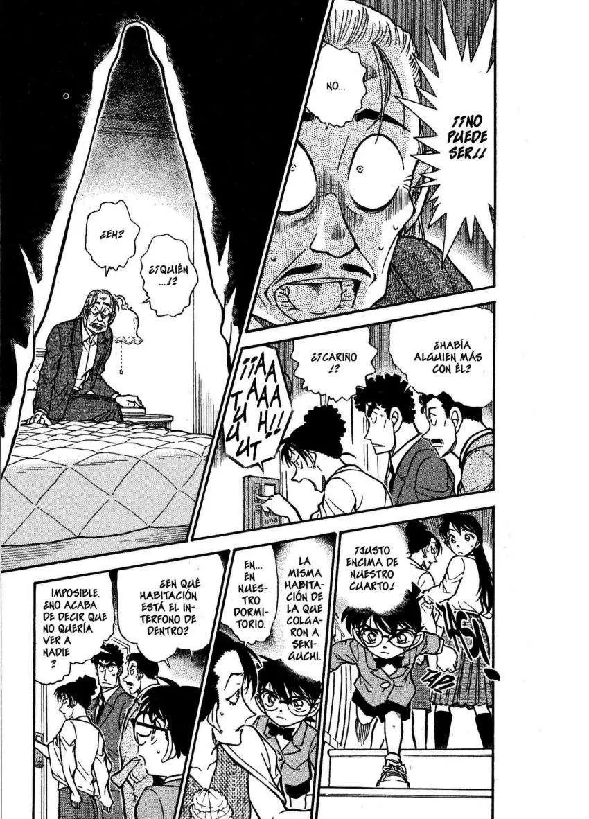 Detective Conan capítulo 495, página 14