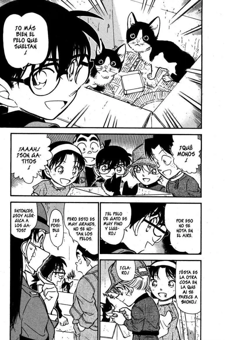 Detective Conan capítulo 507, página 6