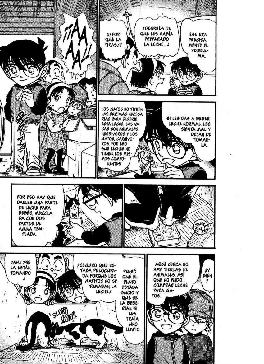 Detective Conan capítulo 507, página 8