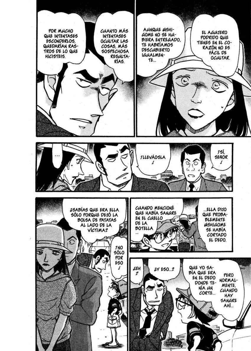 Detective Conan capítulo 527, página 17