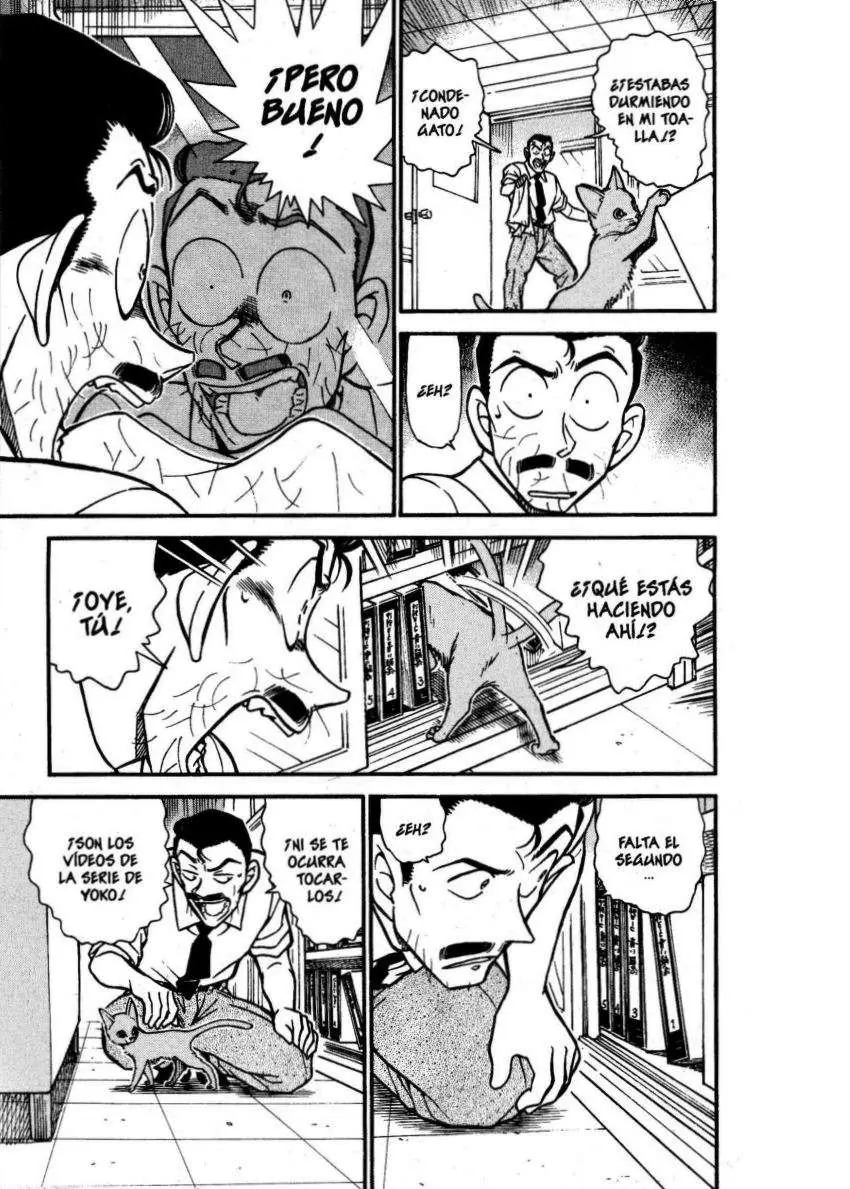 Detective Conan capítulo 528, página 12