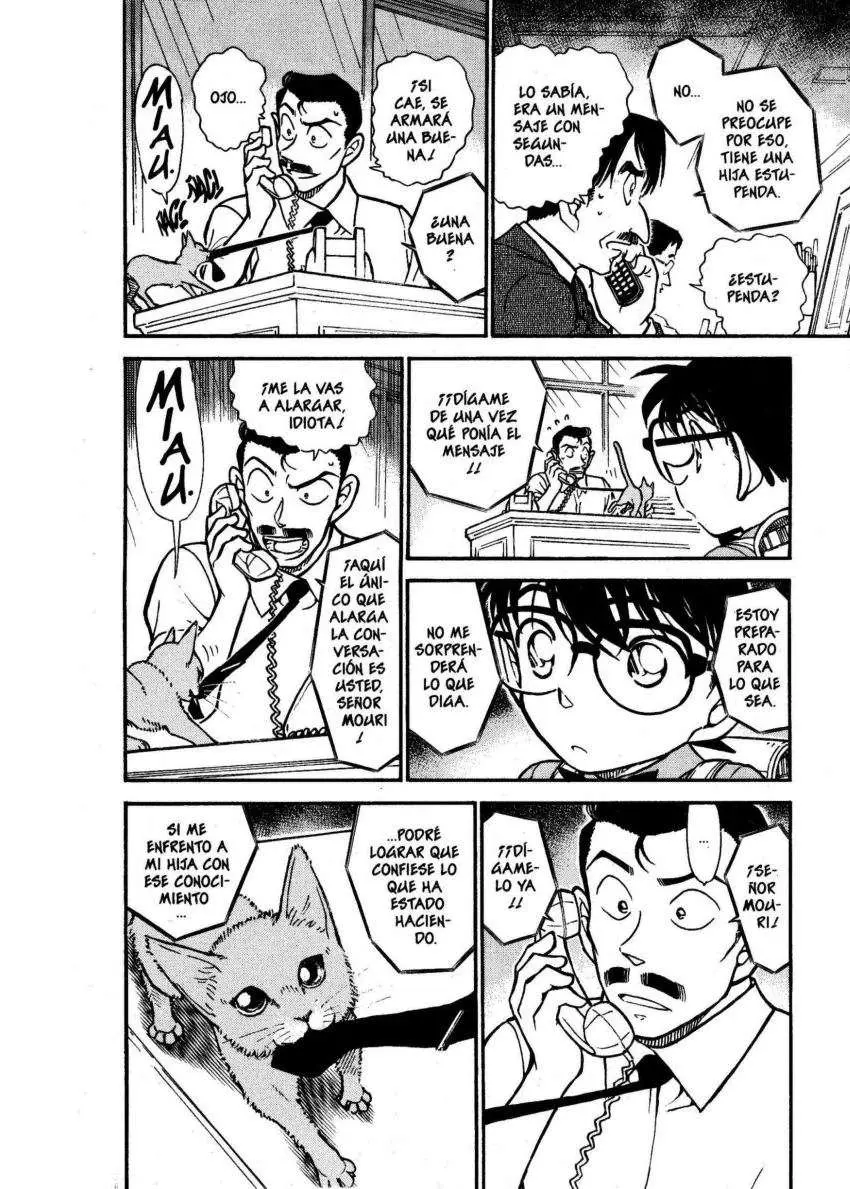 Detective Conan capítulo 529, página 13