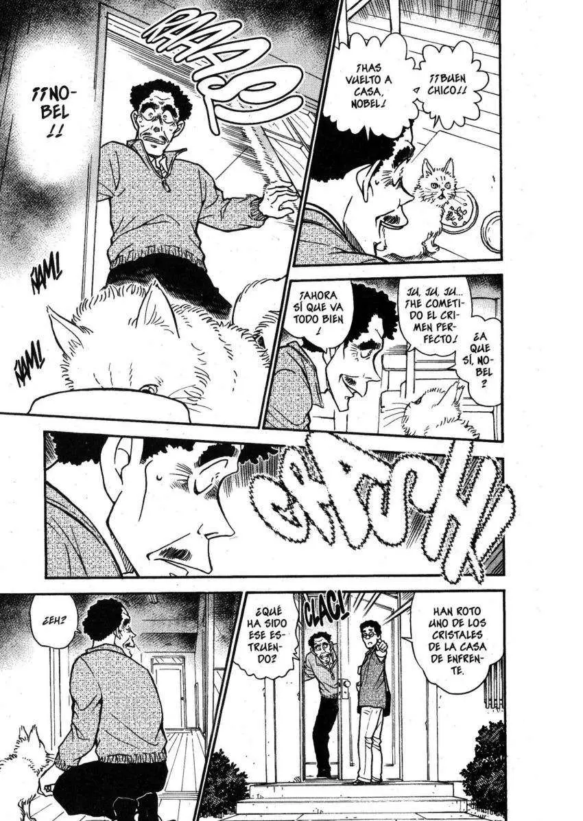 Detective Conan capítulo 538, página 12