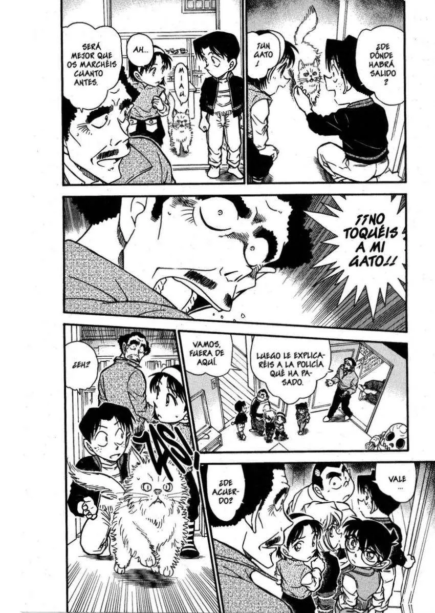 Detective Conan capítulo 539, página 5