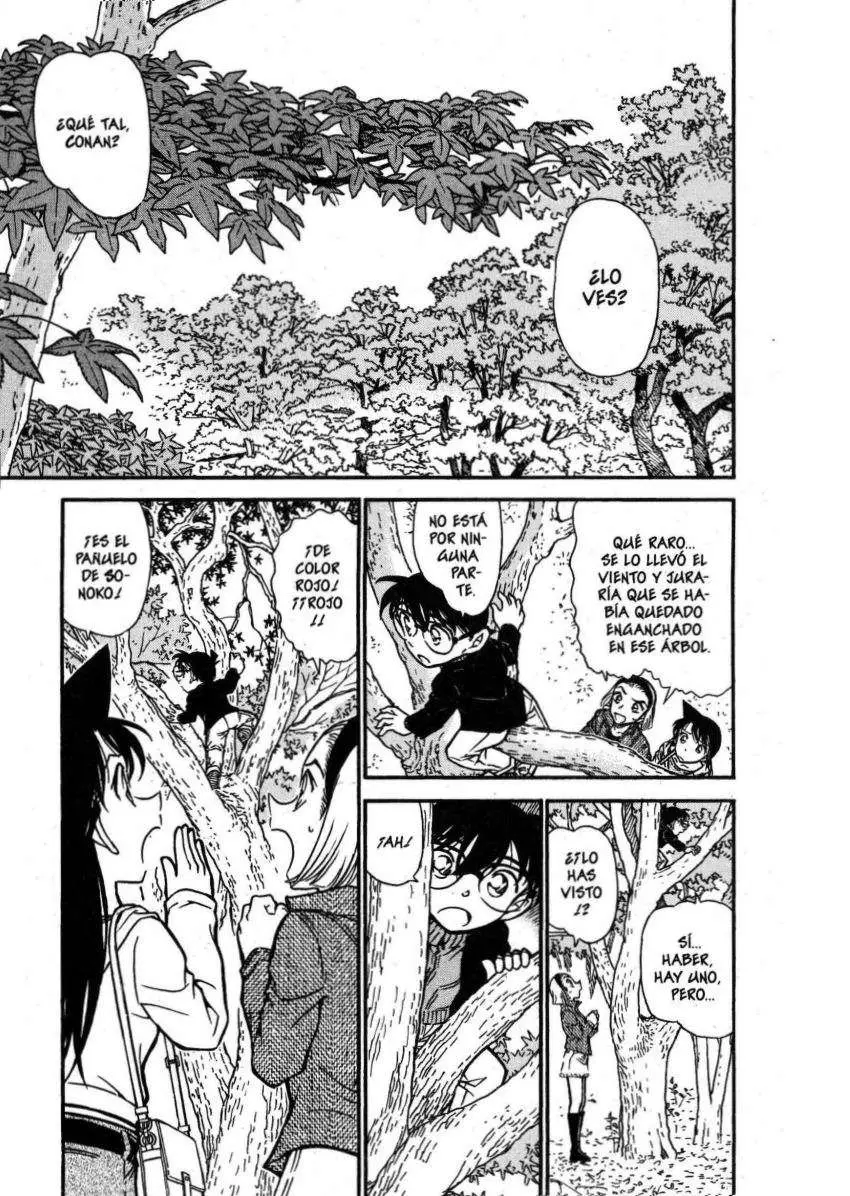 Detective Conan capítulo 541, página 2