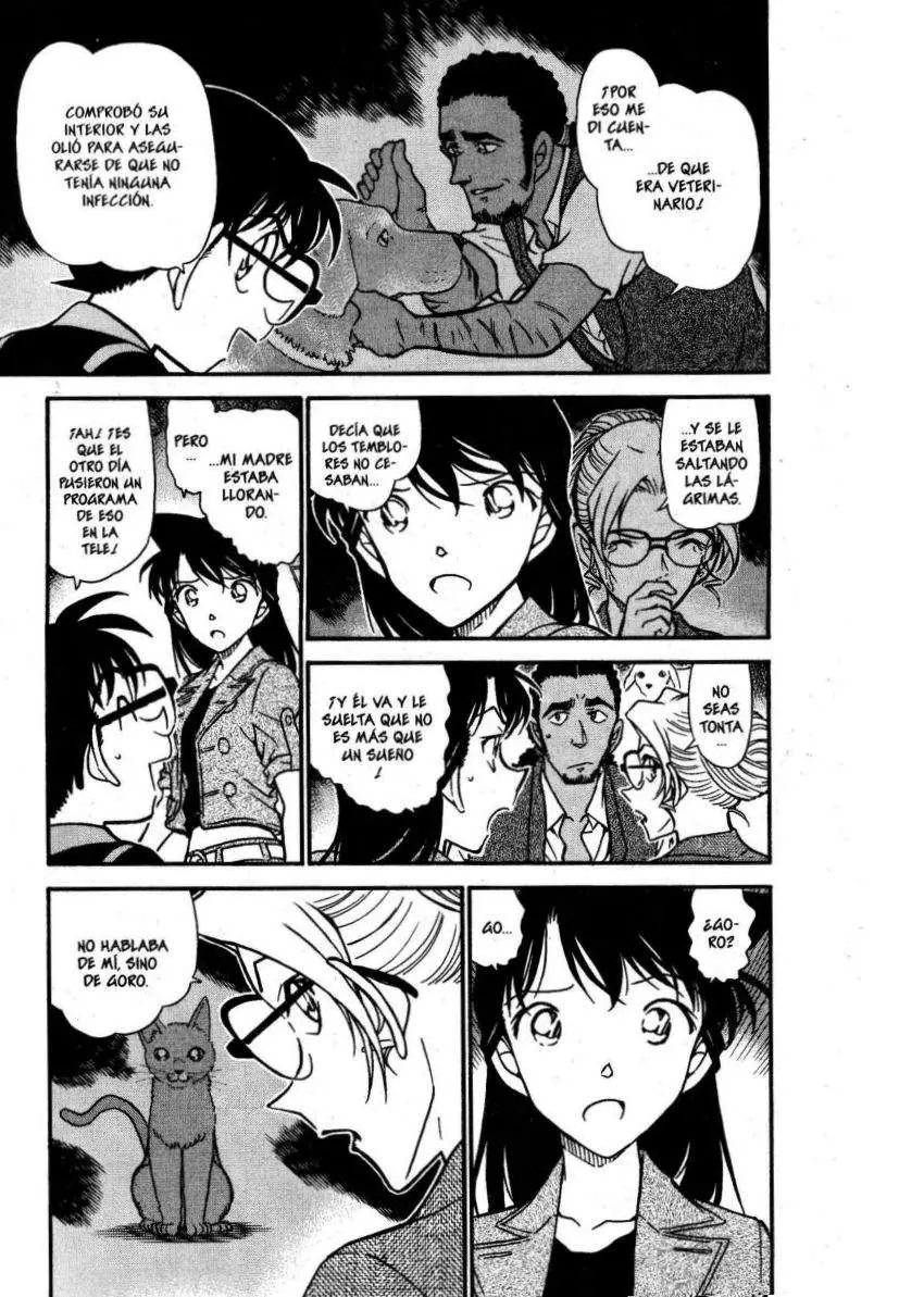 Detective Conan capítulo 575, página 6