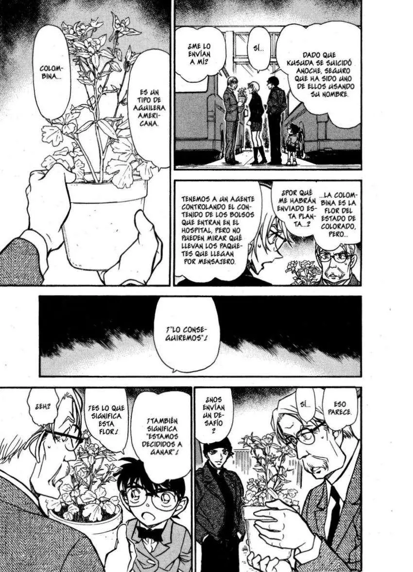 Detective Conan capítulo 600, página 11
