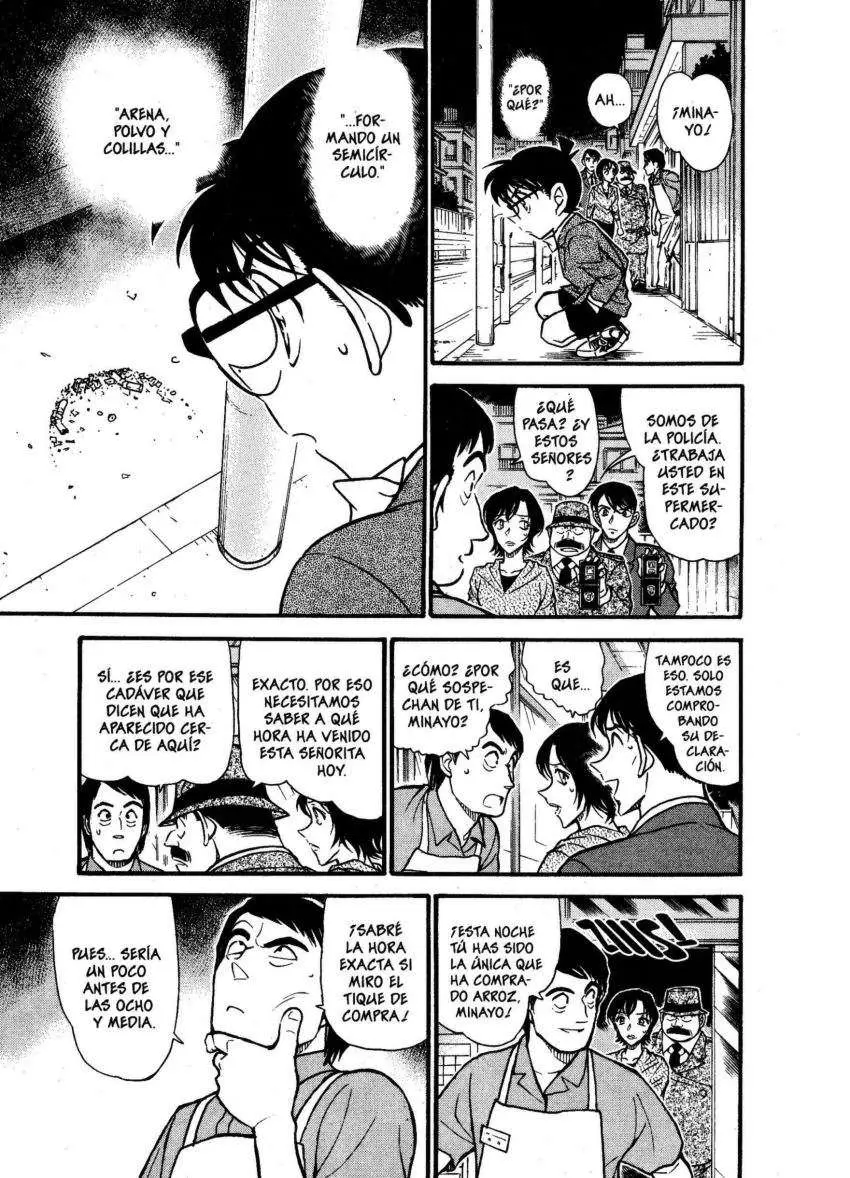Detective Conan capítulo 611, página 12
