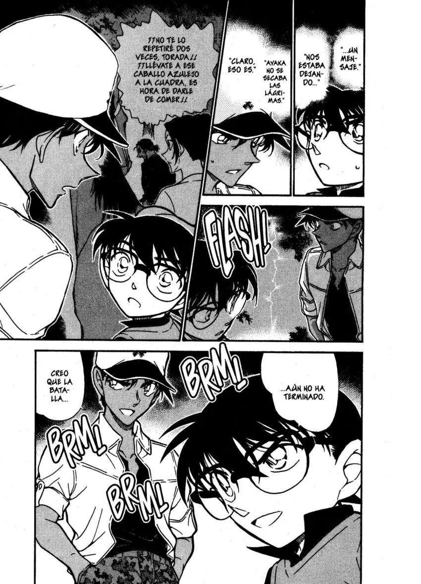 Detective Conan capítulo 617, página 16