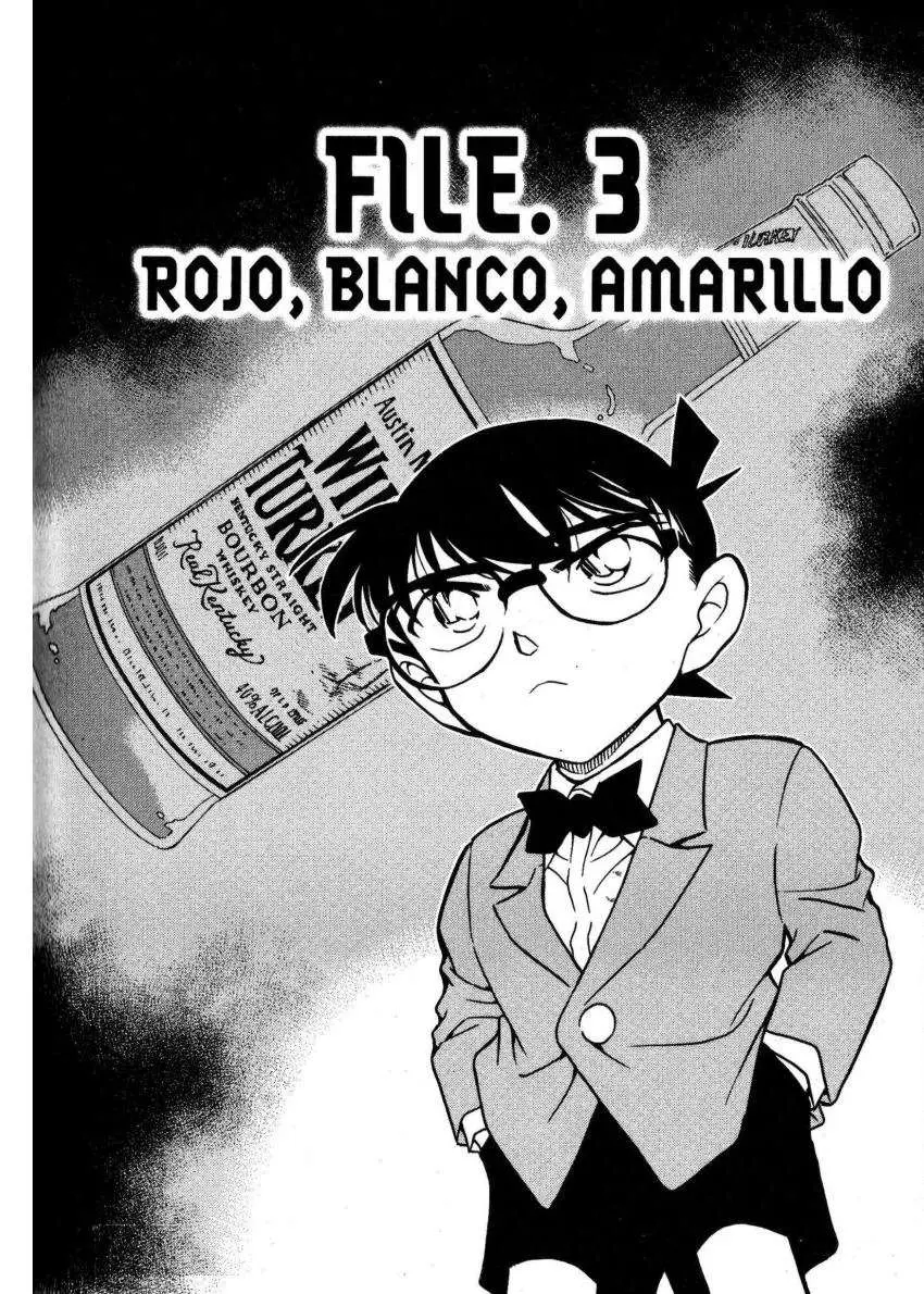 Detective Conan capítulo 622, página 1