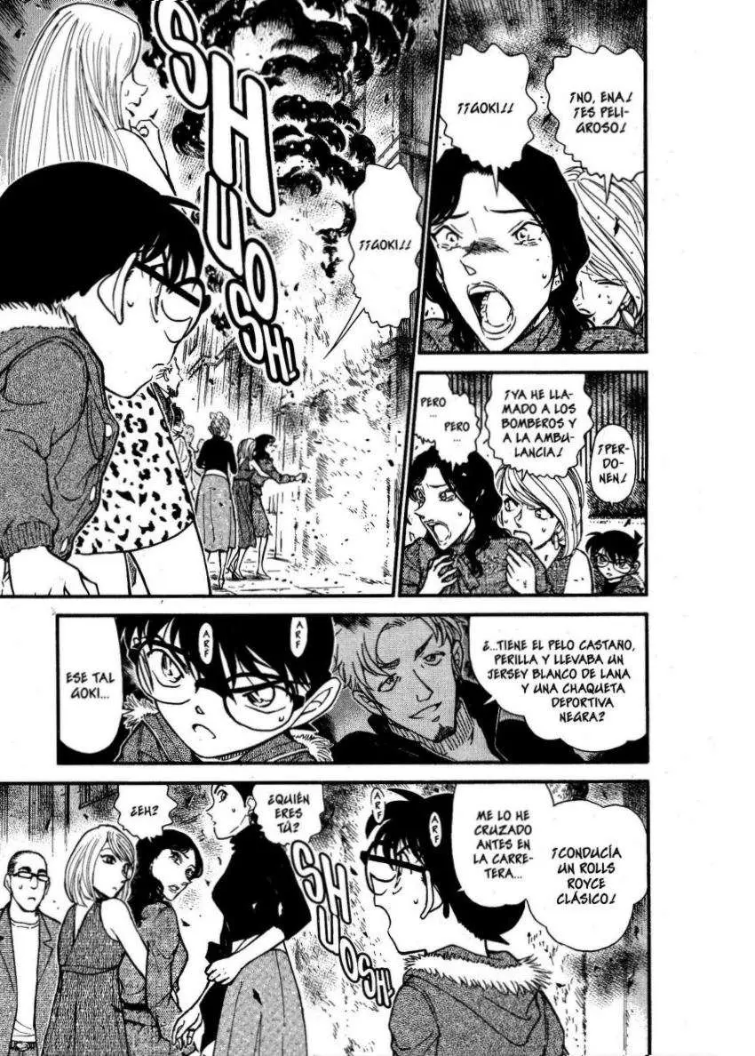 Detective Conan capítulo 635, página 12
