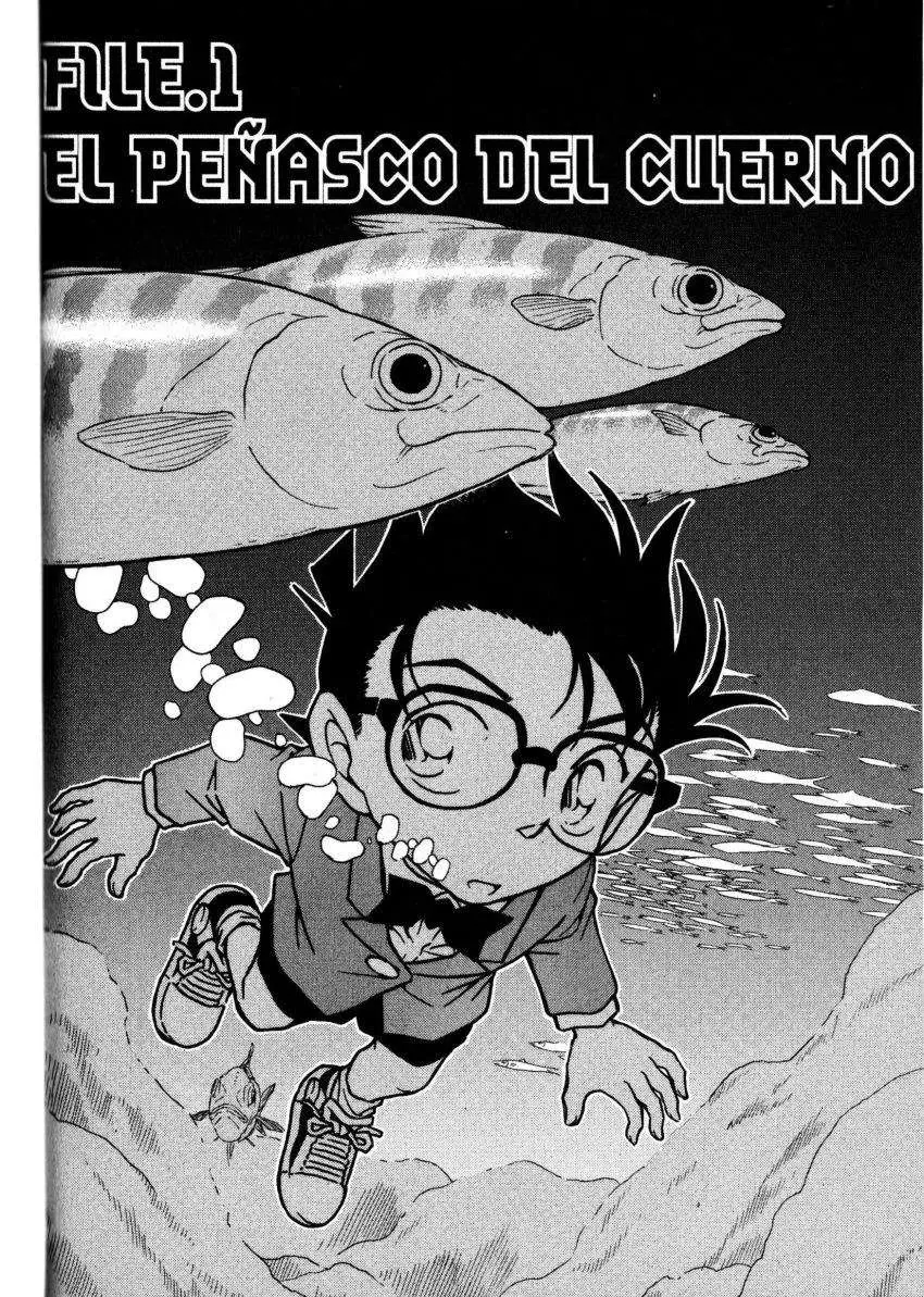 Detective Conan capítulo 664, página 1