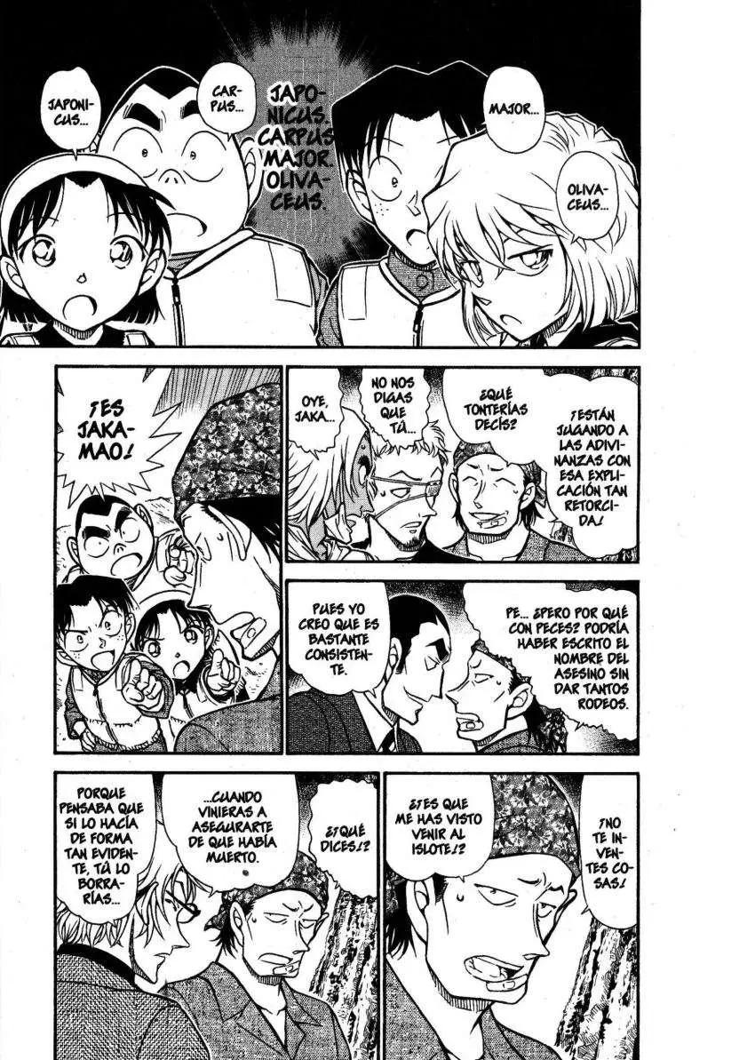 Detective Conan capítulo 666, página 8