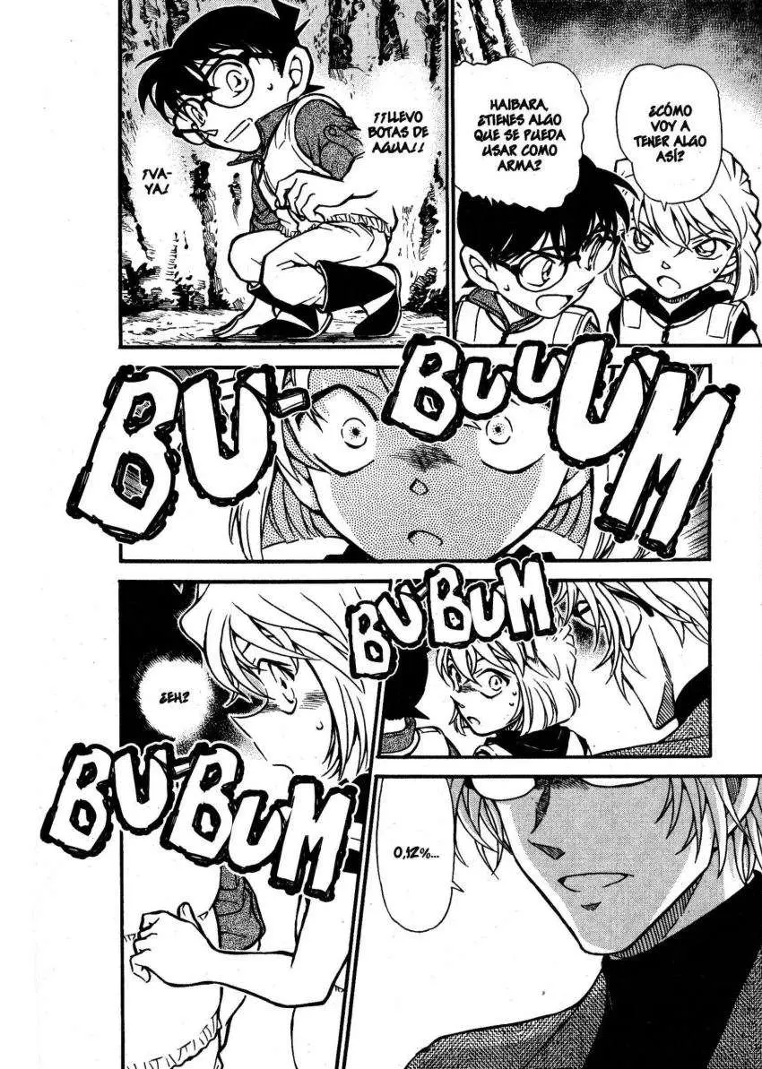Detective Conan capítulo 666, página 13