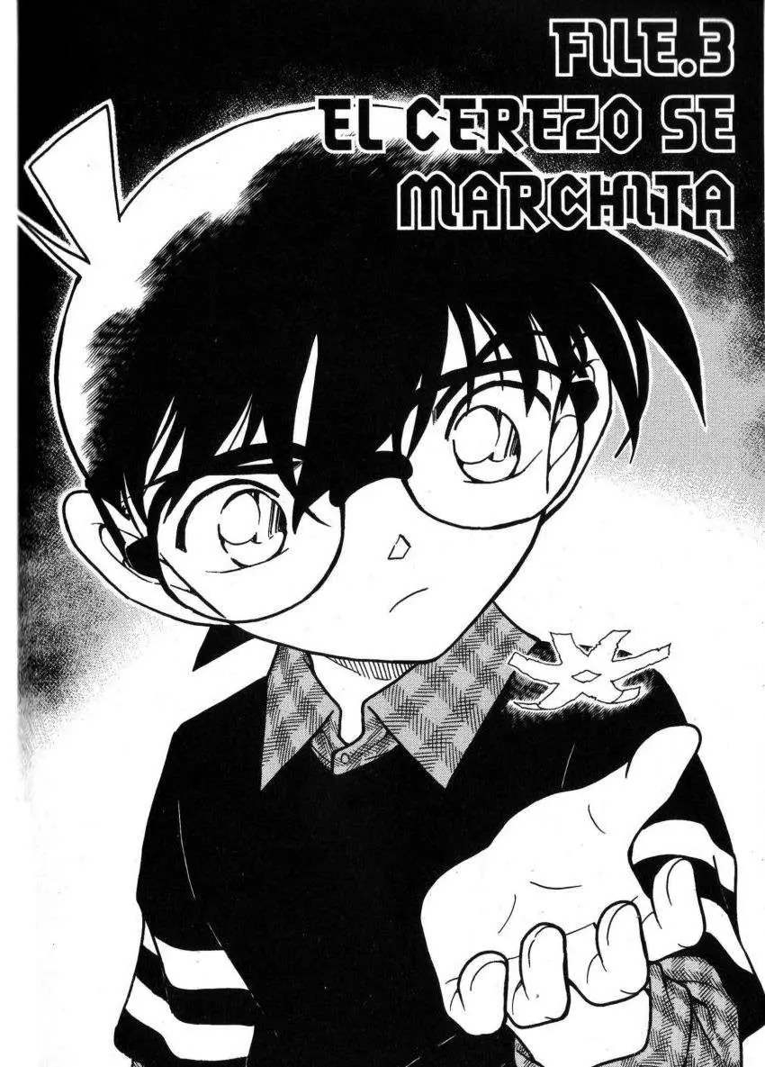 Detective Conan capítulo 688, página 1