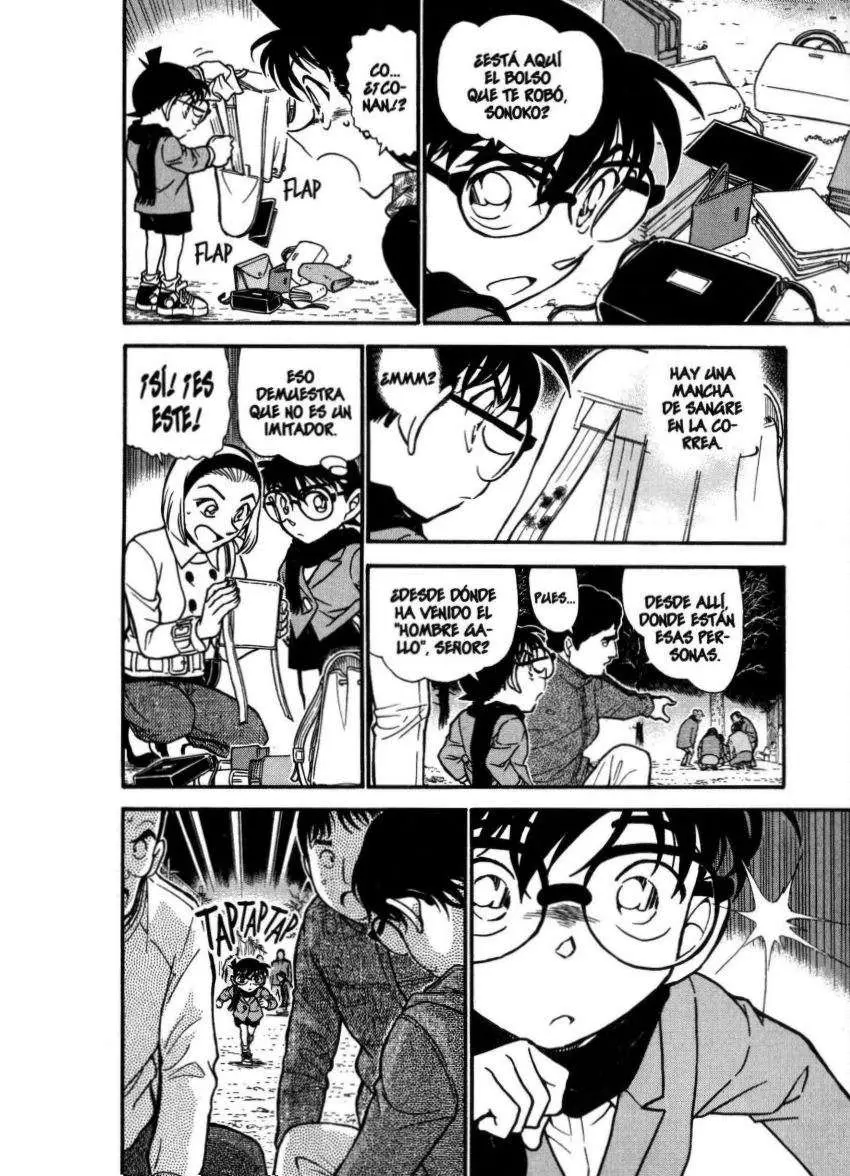 Detective Conan capítulo 716, página 13