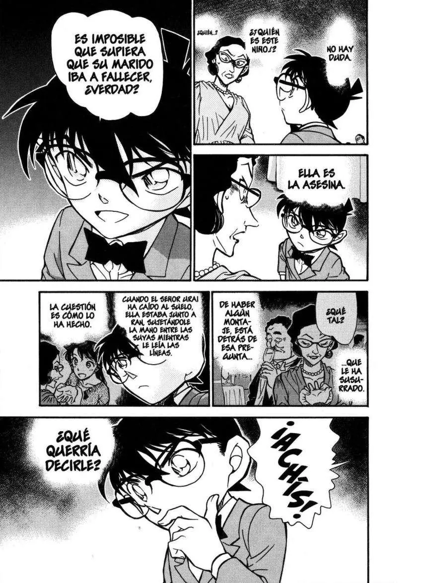 Detective Conan capítulo 726, página 14