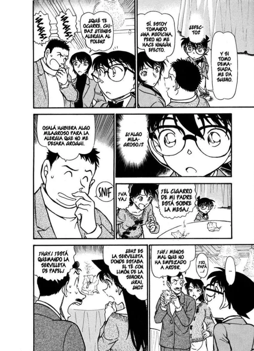 Detective Conan capítulo 726, página 15