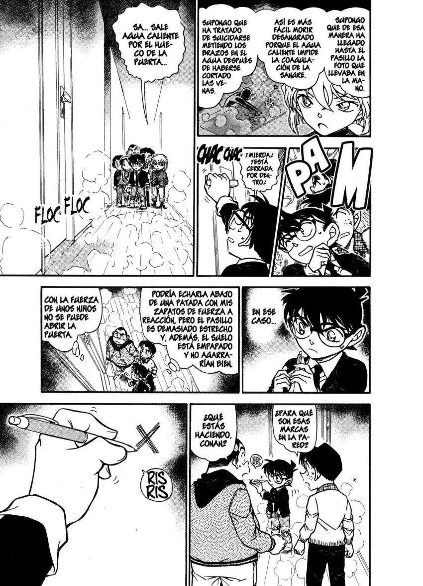 Detective Conan capítulo 730, página 10