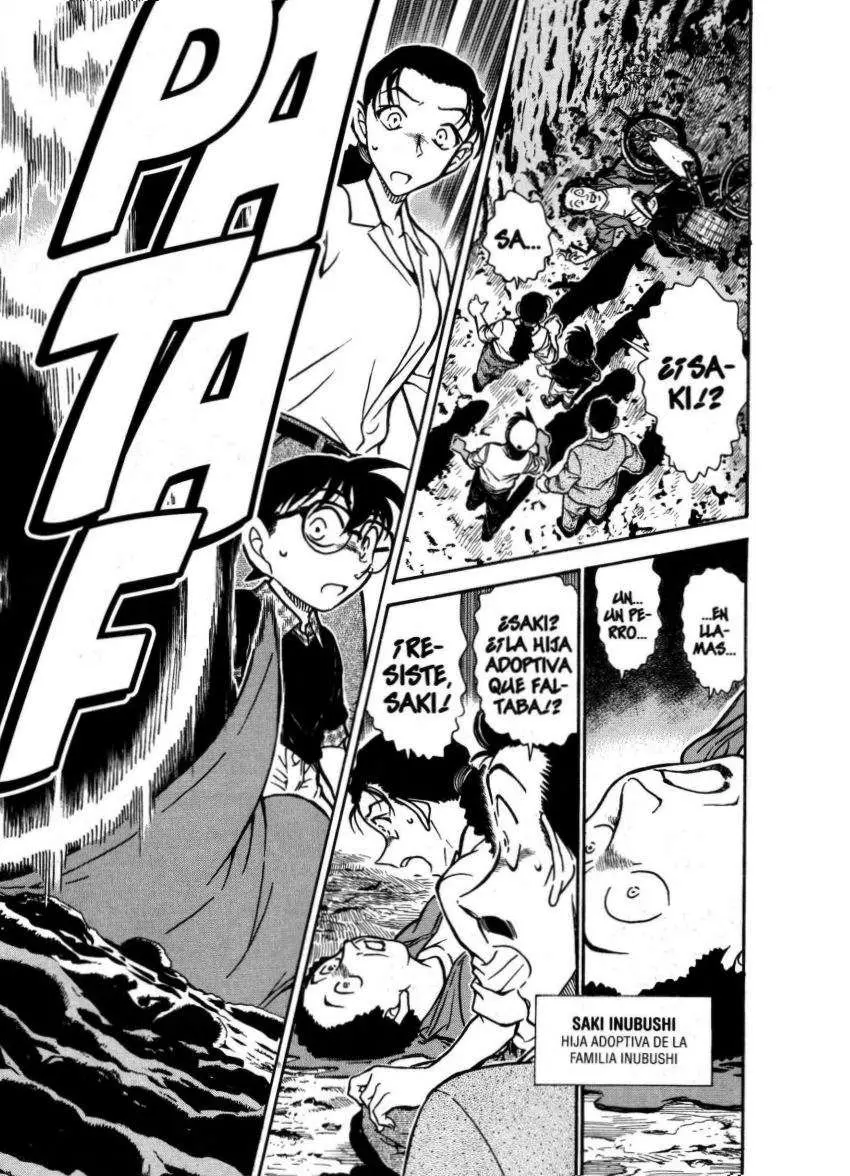 Detective Conan capítulo 736, página 13