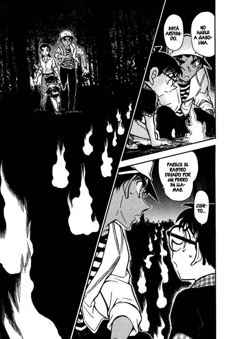 Detective Conan capítulo 736, página 15