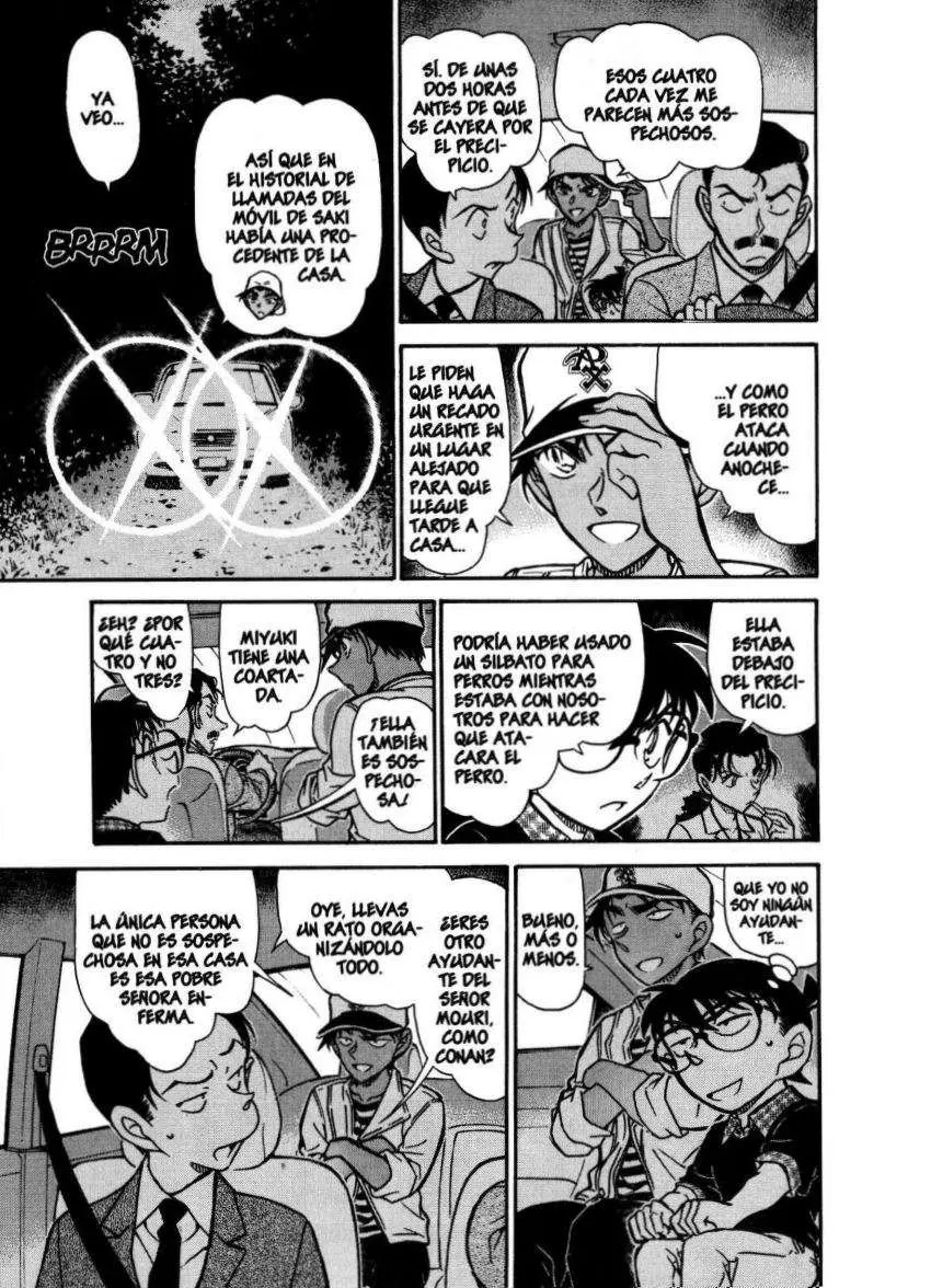 Detective Conan capítulo 737, página 10