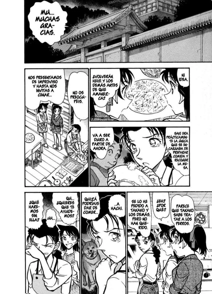 Detective Conan capítulo 737, página 11
