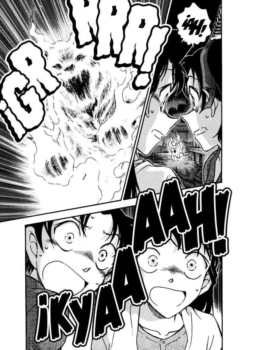 Detective Conan capítulo 737, página 16
