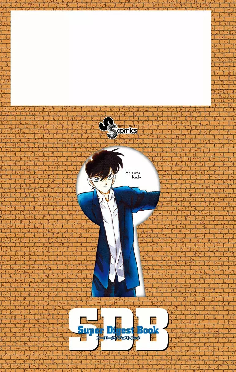 Detective Conan capítulo 740.5, página 13