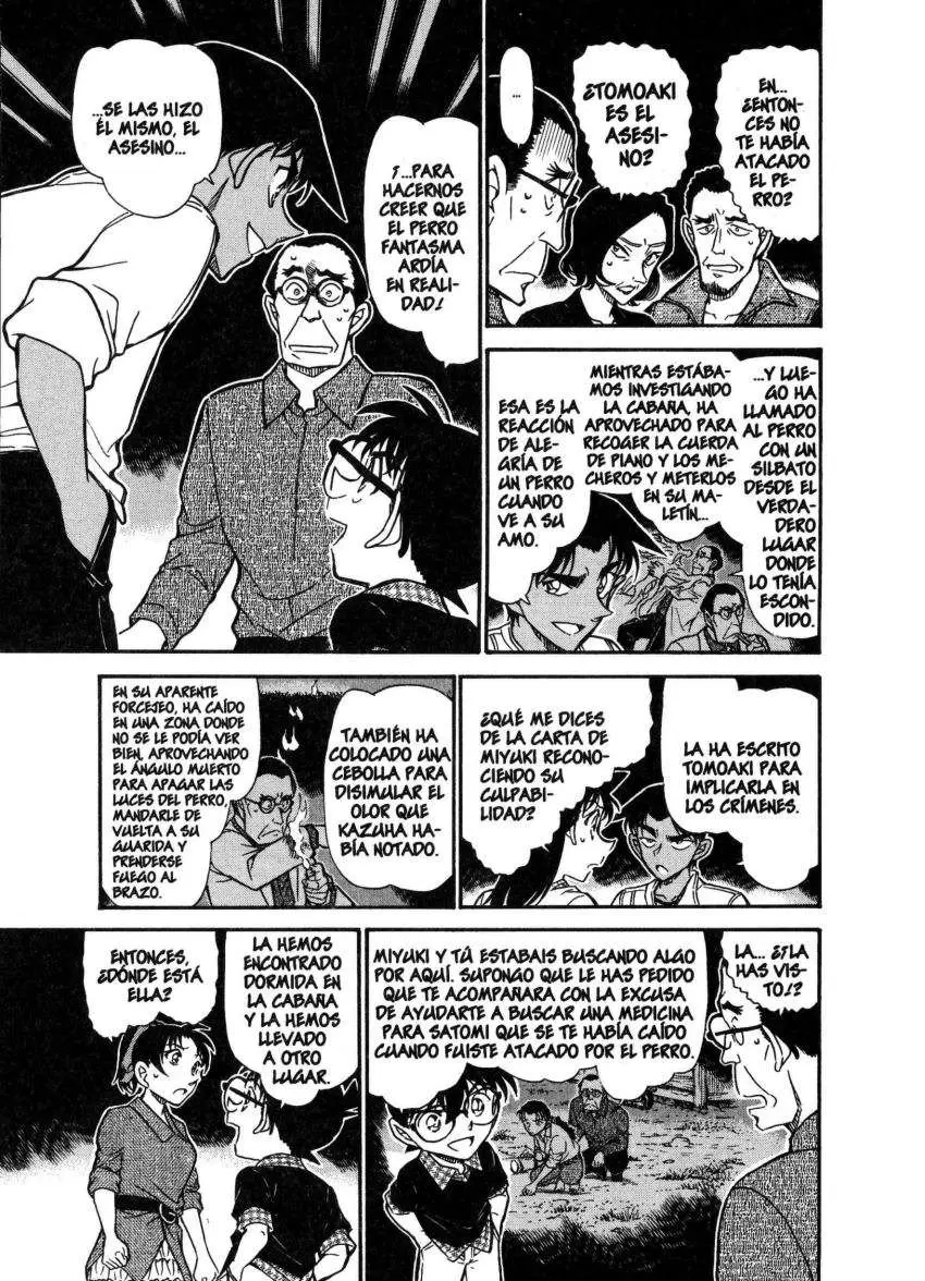 Detective Conan capítulo 740, página 14