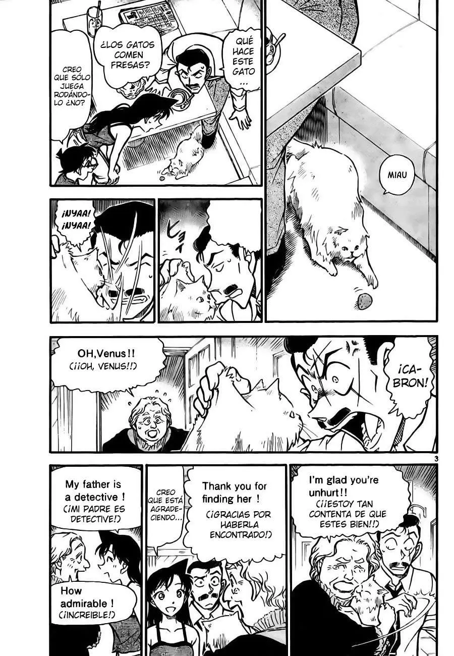 Detective Conan capítulo 743, página 3