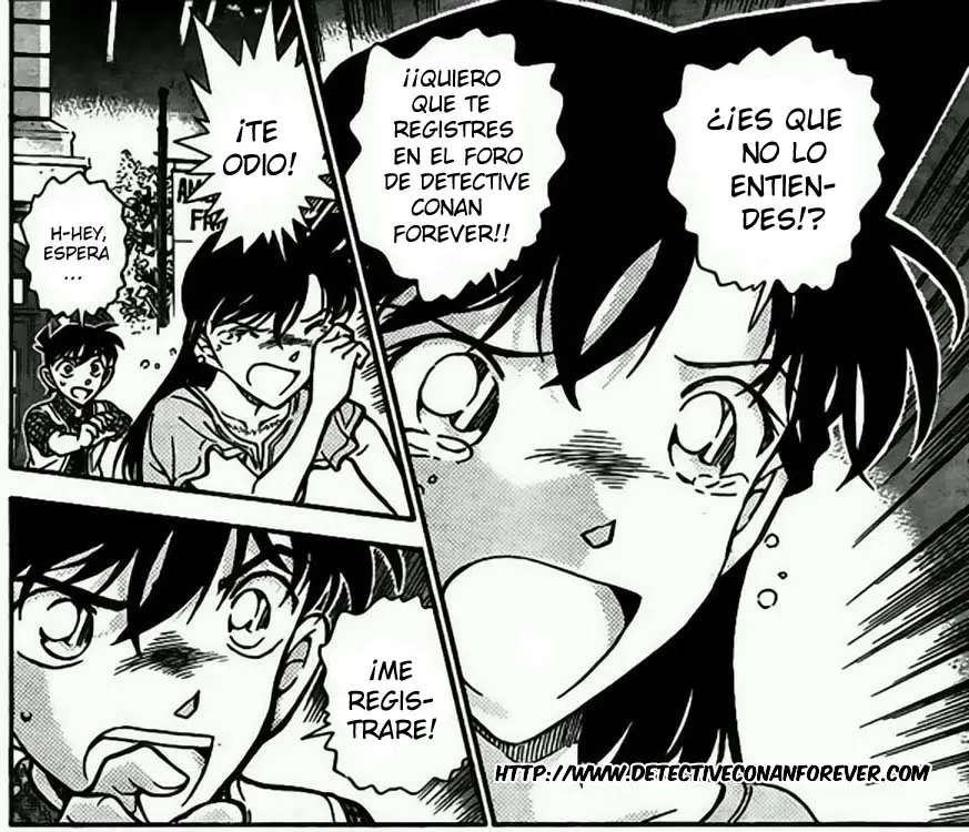 Detective Conan capítulo 745, página 17