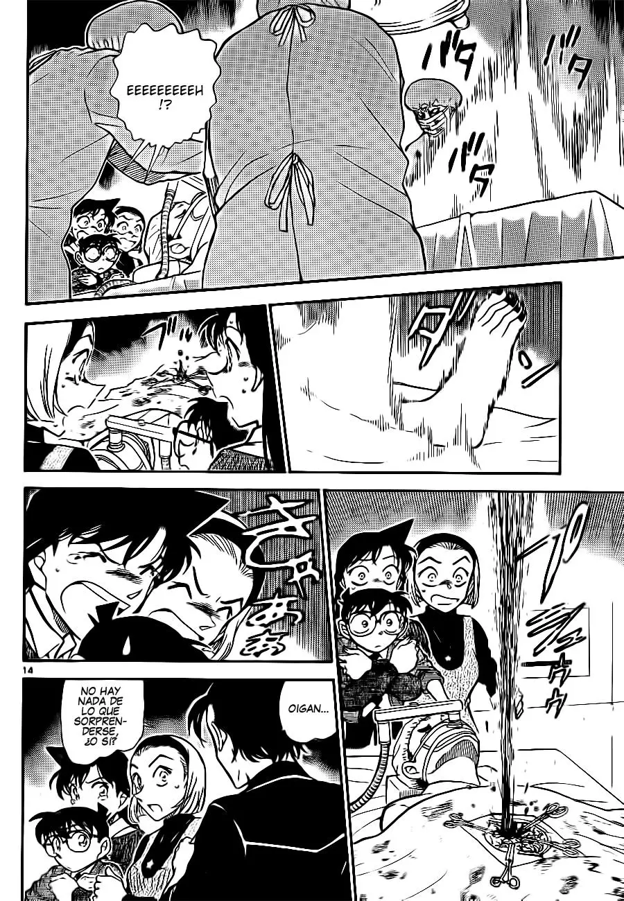 Detective Conan capítulo 756, página 14