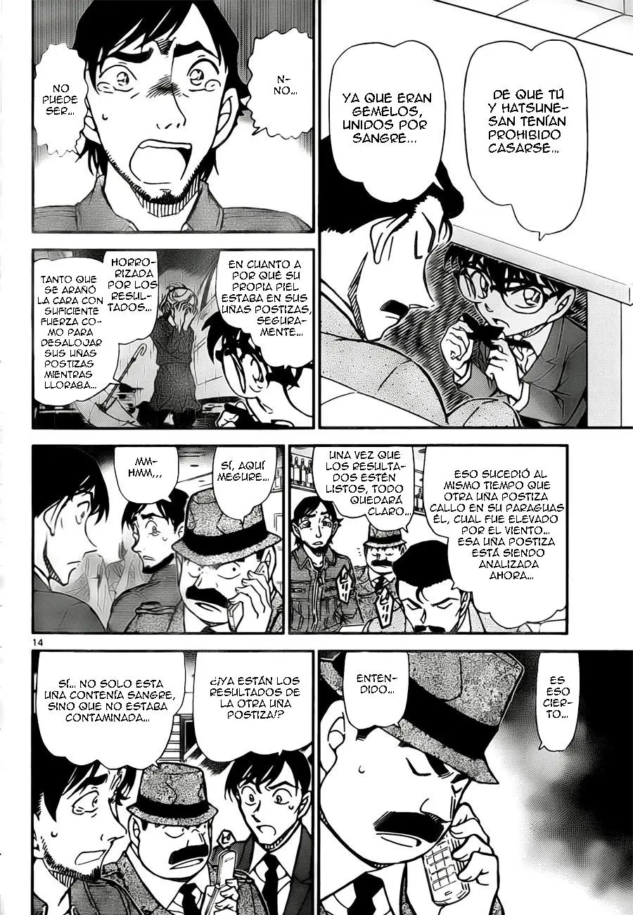 Detective Conan capítulo 795, página 14