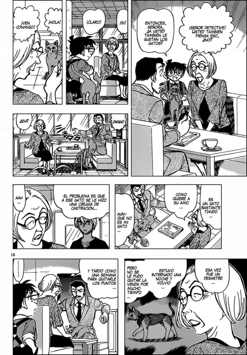 Detective Conan capítulo 865, página 11