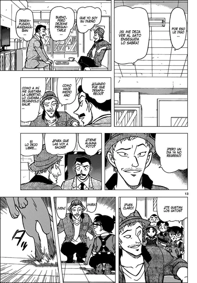 Detective Conan capítulo 865, página 14