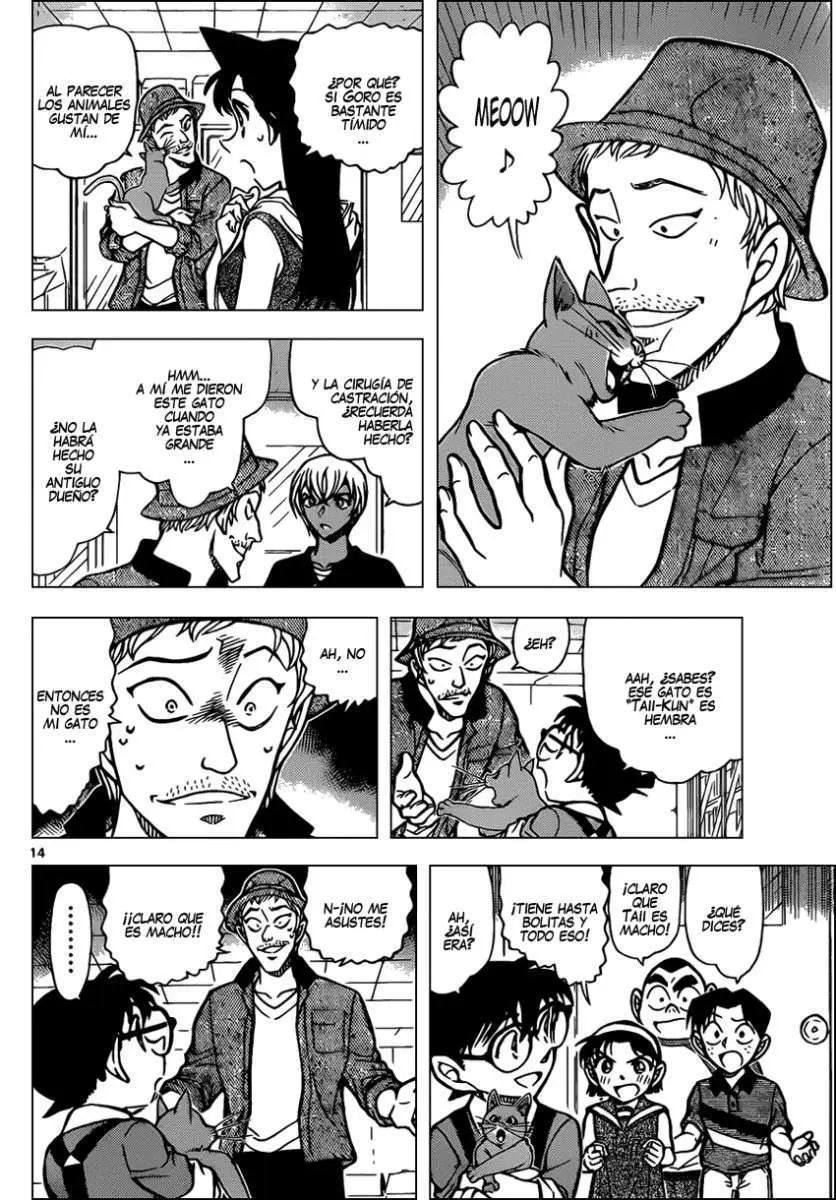 Detective Conan capítulo 865, página 15
