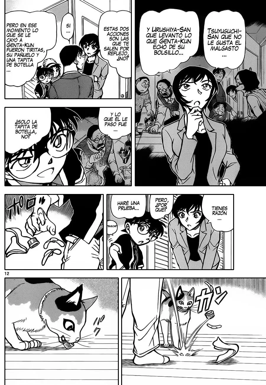 Detective Conan capítulo 868, página 13