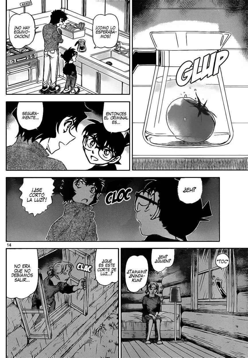 Detective Conan capítulo 873, página 15