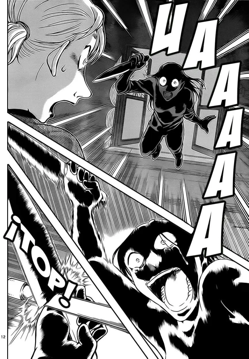 Detective Conan capítulo 875, página 13