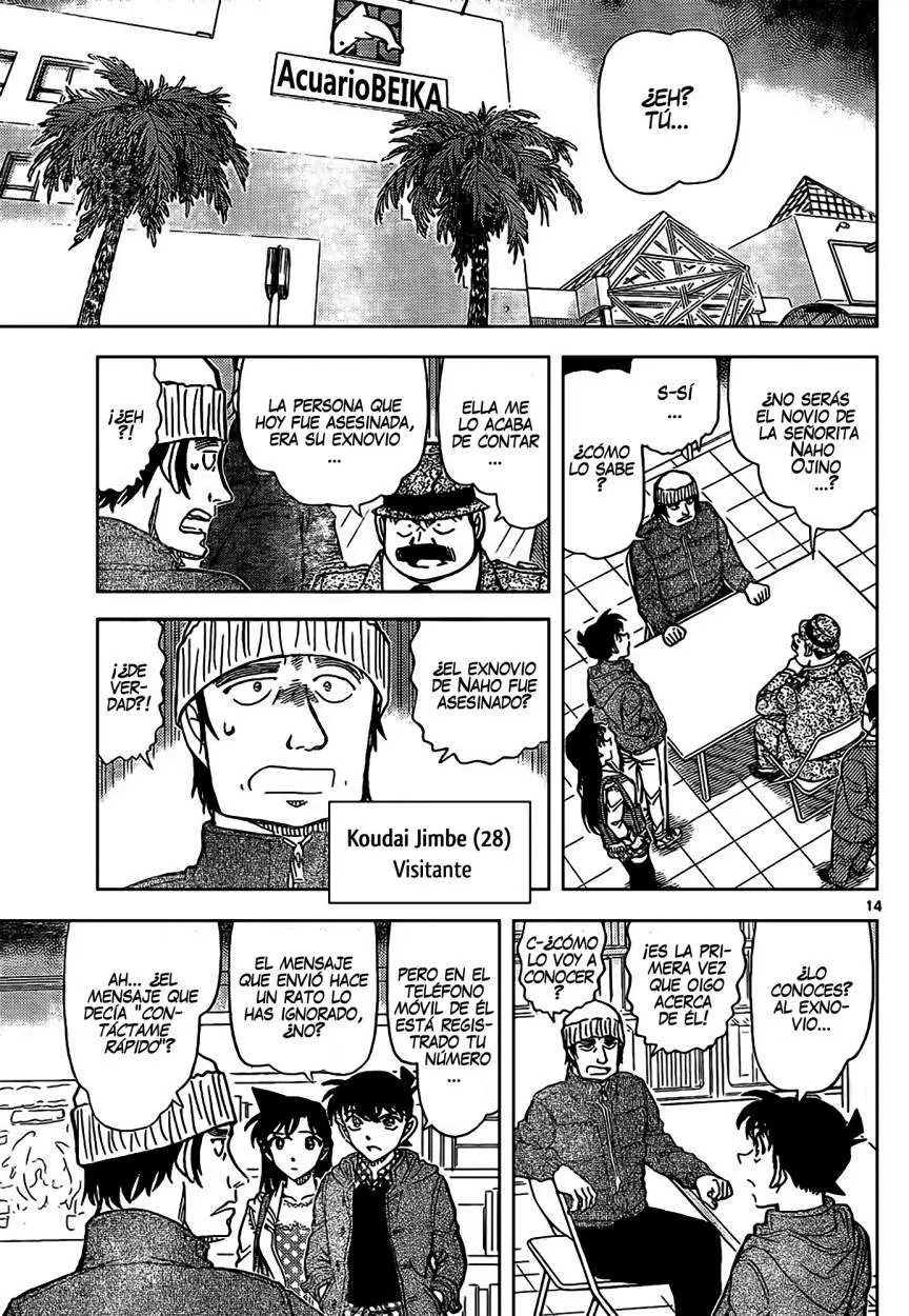 Detective Conan capítulo 883, página 13