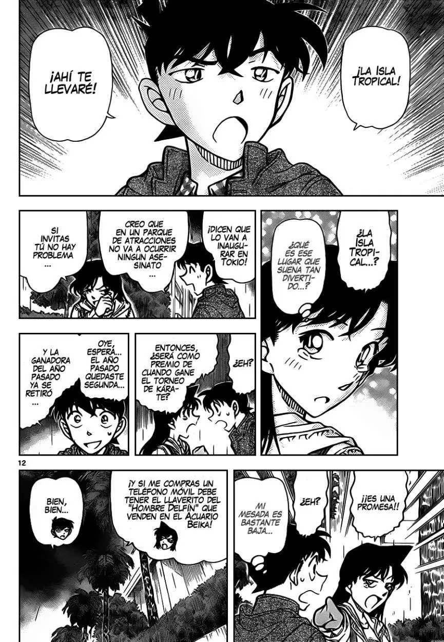 Detective Conan capítulo 884, página 13