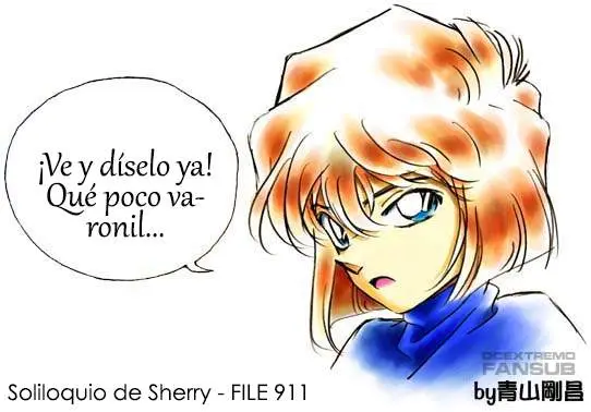 Detective Conan capítulo 911, página 18