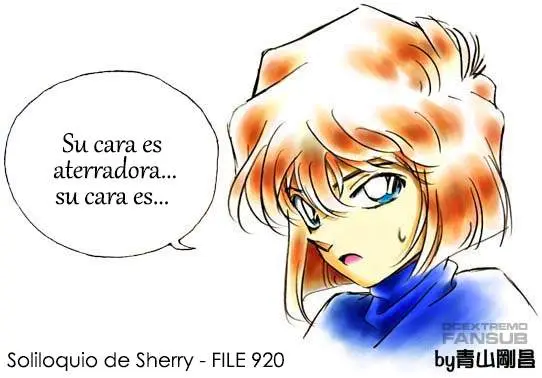 Detective Conan capítulo 920, página 19