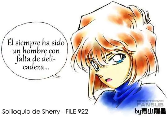 Detective Conan capítulo 922, página 18