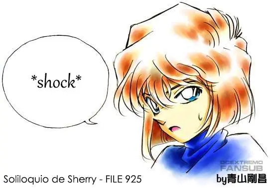 Detective Conan capítulo 925, página 18