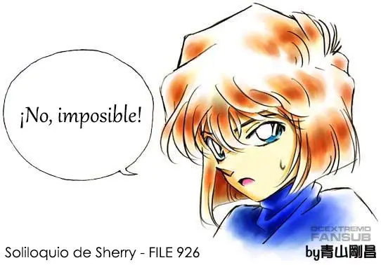Detective Conan capítulo 926, página 18