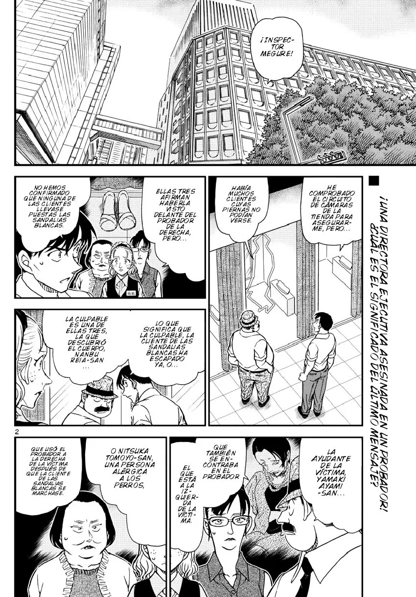 Detective Conan capítulo 971, página 3