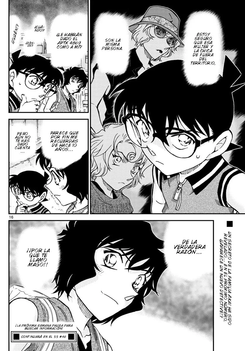 Detective Conan capítulo 974, página 17