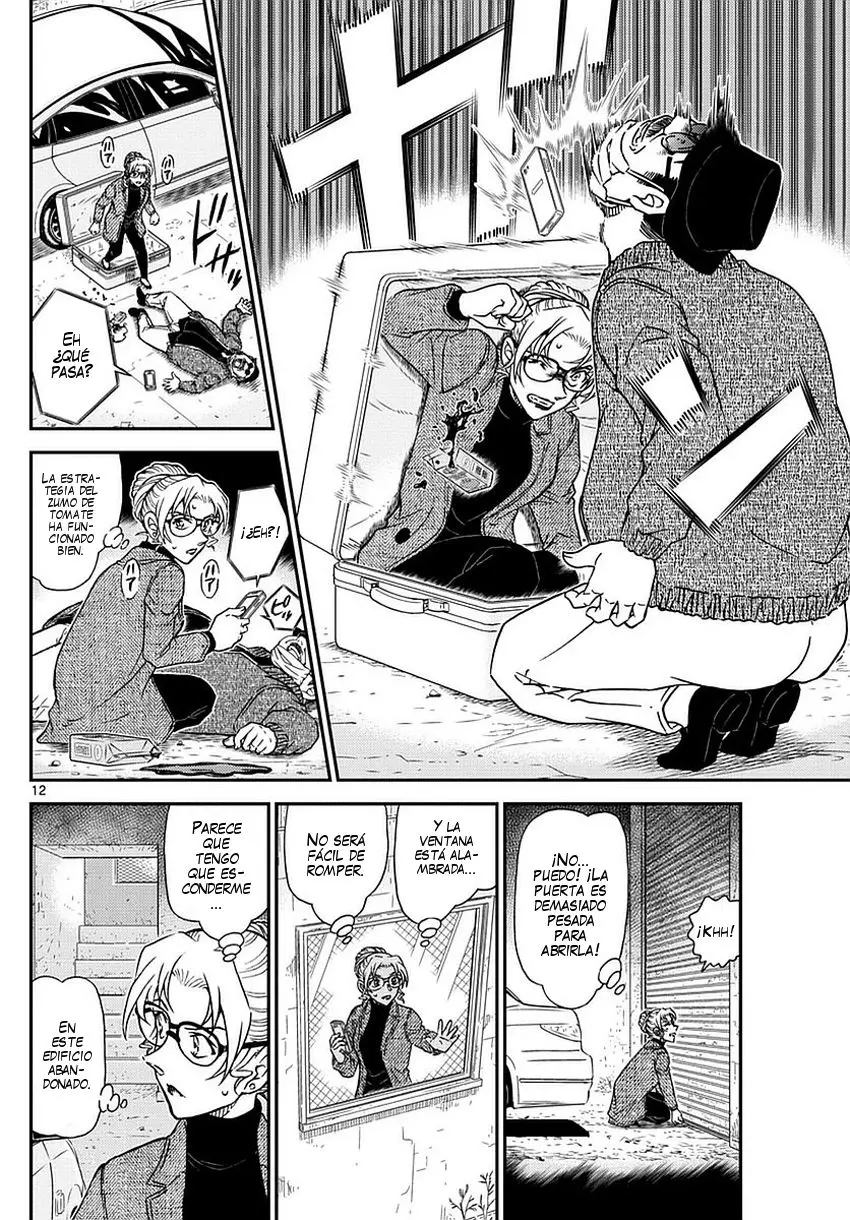 Detective Conan capítulo 984, página 13